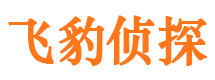 凤阳市私家侦探